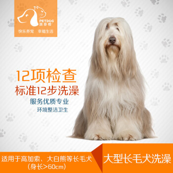 寵物產業(yè)鏈的興起 從食品到服務的全面覆蓋