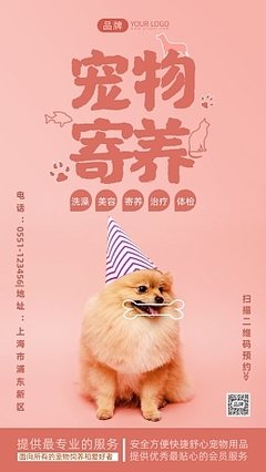 寵物攝影 為愛寵留住美好瞬間的專業(yè)服務(wù)