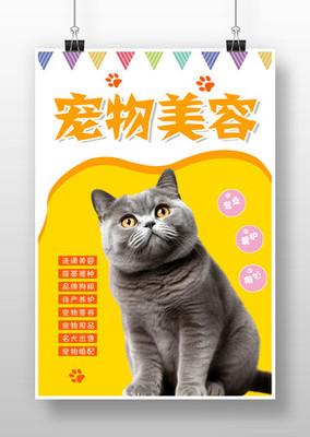 專業(yè)寵物服務(wù) 寵愛無限——限時(shí)促銷火熱開啟