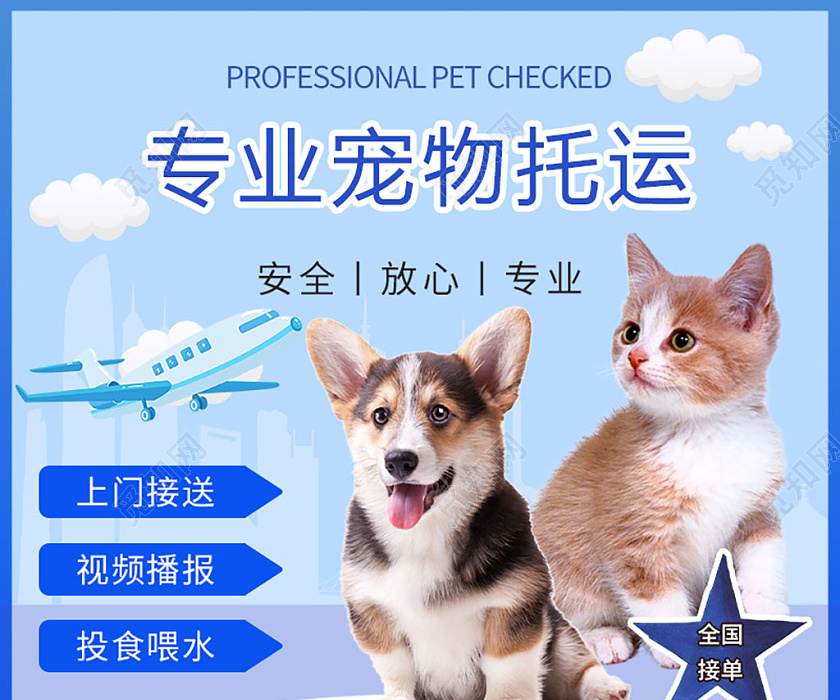 藍(lán)色幾何寵物專(zhuān)業(yè)寵物托運(yùn)宣傳主圖 | 寵物服務(wù)主圖